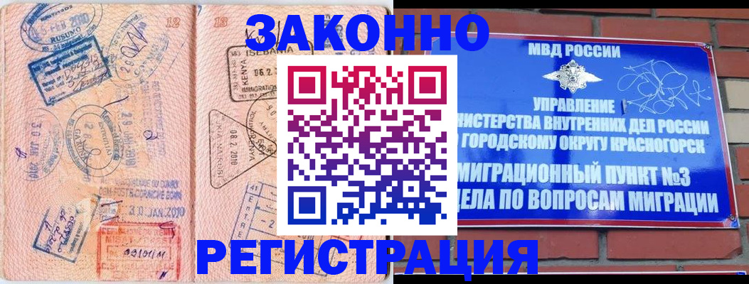 прописка иностранных граждан в Мурманской области